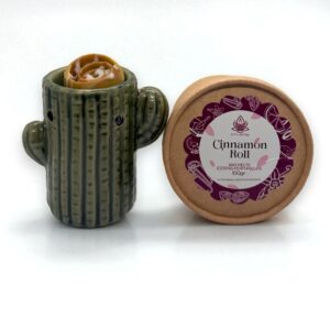 Set aromático Cactus con quemador de cerámica, wax melts y velas de té