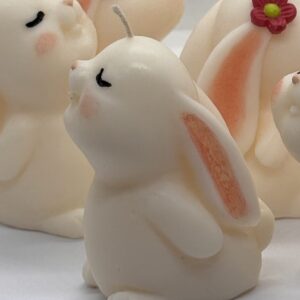 Souvenir Baby Shower Conejito en Tul 50g - Vela Artesanal Premium