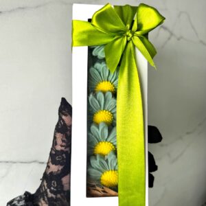 Wax Melts Margaritas Premium x6